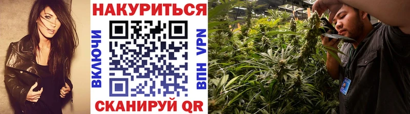 МАРИХУАНА семена  Великий Новгород 